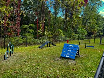 Dog park